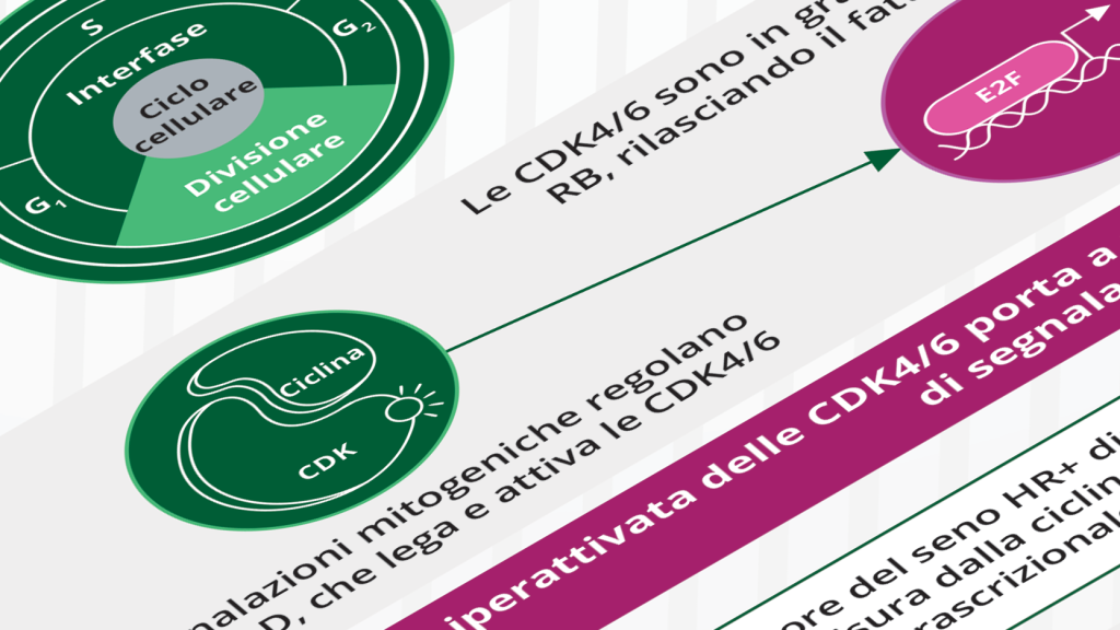 Infografiche - Meccanismi e nuove combinazioni terapeutiche